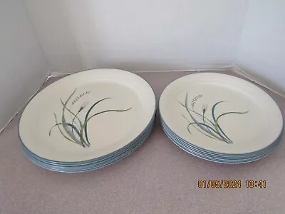 CORELLE COASTAL BREEZE Dinner 10.25” & Luncheon Plates 8 1/2  Sandstone 12 Pc • $53.99