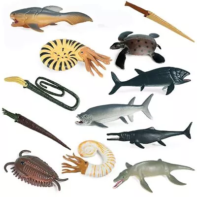 Shark Seals Figurines Nautilus Turtle Prehistoric Marine Organism Models • $19.49