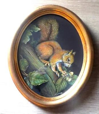 Elizabeth Garnett-Orme Watercolour Gouache Red Squirrel  1991 Framed • $46.63