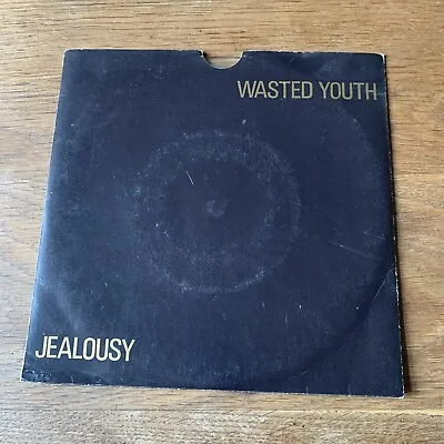 Indie Wasted Youth Jealousy Bridge House CLEAR VINYL BHS 5 • £10