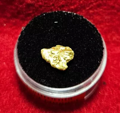 California Natural Gold Nugget 1.4 Grams In A Gem Jar W/lid • $113