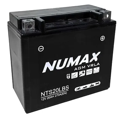 NTS20L-BS Sealed Numax Motorbike Battery YTX20L-BS Compatible • £49.99