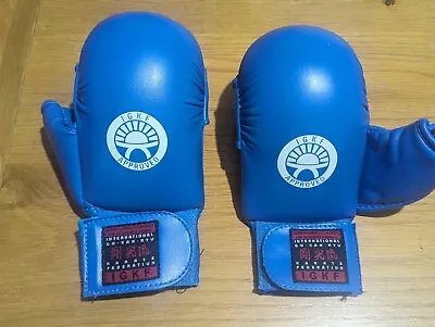 Gloves Semi-Contact Martial Arts Mitts Karate Blue Medium  IGKF Go-Kan-Ryu • £8.99