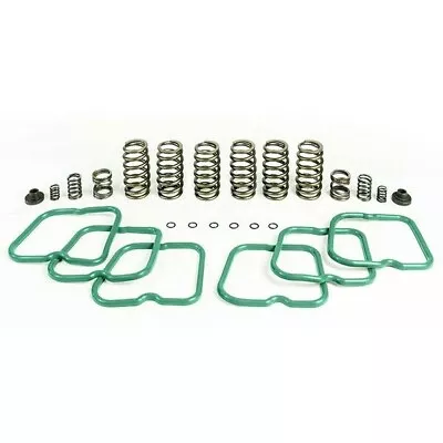 PacBrake Premium Valve/Governor Spring Kit (6 Springs) For 94-98 5.9l Cummins • $214.23