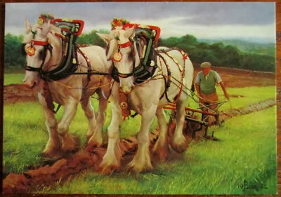 Single Postcard Horses Ploughing By John Berry  • £1.85