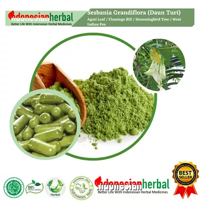 POWDER Agati Leaf Vegetable Hummingbird Tree Sesbania Grandiflora Organic Herb • $17