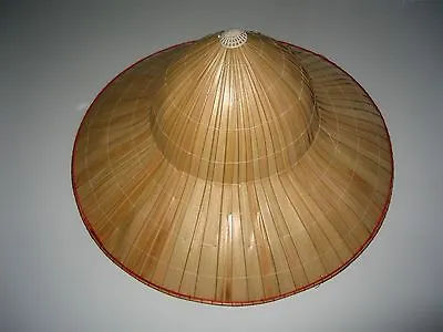 Vietnamese Bamboo Palm Leaf Two Step Conical Hat • $14.99