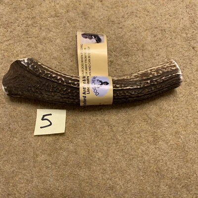 £19 • Buy Stag Red Deer Antler Dog Chews LARGE  **FREE POSTAGE**