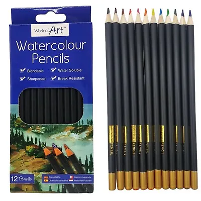 £2.95 • Buy 12 Watercolour Pencils Set Artist Drawing Painting Sketching Art Water Colour UK