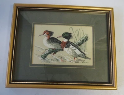 £9.99 • Buy J.J Cash Ltd. Coventry Woven Silk & Rayon Picture Of Red Breasted Morganser