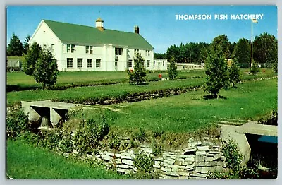 Postcard Trout Fish Hatchery Thompson Michigan  • $5