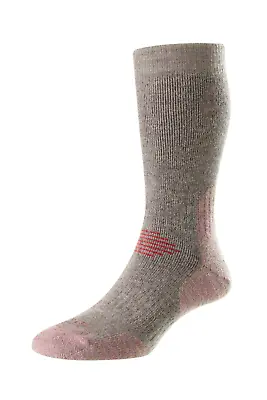 £16 • Buy HJ Socks HJ701 Ladies Protrek Adventure Trek Socks