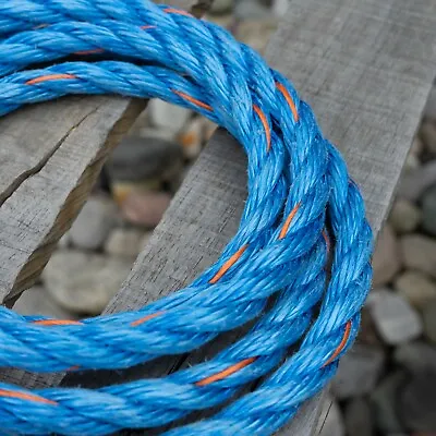 High Tenacity Polypropylene Rope Blue With Orange Tracer Danline Polyolefin  • $74.99