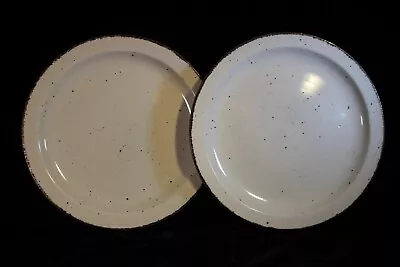Vintage Midwinter Stonehenge Creation Dinner Plates 10 3/8  NEAR MINT Lot Of 2 • $49