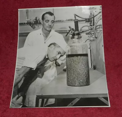 1961 Press Photo Missouri Farmers Assn Creamery Mushroom Growing Bottle Lebanon • $13.11