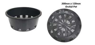 $20.95 • Buy ORCHID POT 300mm X 120mm - PACK OF 2 OR 5 - PORT SQUAT