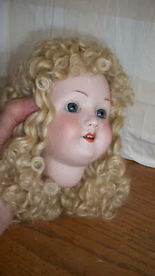 Beautiful Handmade Bramble & Pinegar Mohair Wig For French Doll Or German Doll • $75