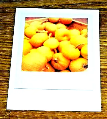 The Impossible Spectrum Project Photograph Postcard ~ A Create Full Of Pumpkins • £1.50
