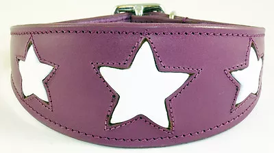 Leather Saluki Afghan Dog Collar Purple With White Star Greyhound Whippet Collar • £14.85