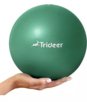 $13.98 • Buy Exercise Balls Physical Therapy, 9 Inch Pilates Ball Between Knees For Physical 