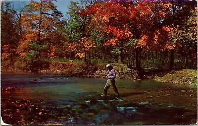 Greetings Southern Michigan Mi Plastichrome Vintage Unposted Autumn Postcard • $3