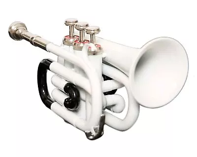 MINI POCKET New WHITE BLACK NICKEL Finish Bb Pocket Trumpet • $127.08