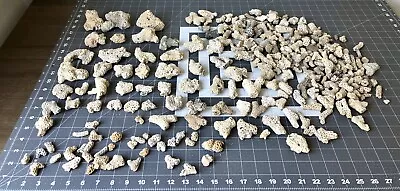 (100+) White CORAL Pieces Handpicked Crafting Decor • $45