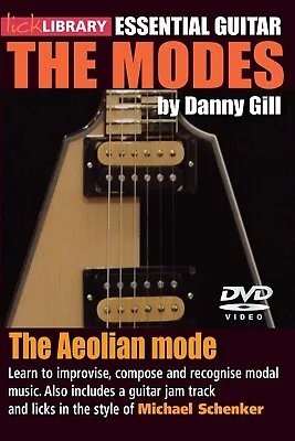 Lick Library Essential Guitar THE AEOLIAN MODE Style MICHAEL SCHENKER DVD Lesson • $19.95