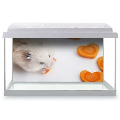 Fish Tank Background 90x45cm - Cute Hamster Pet Mouse Mice  #2783 • £14.99