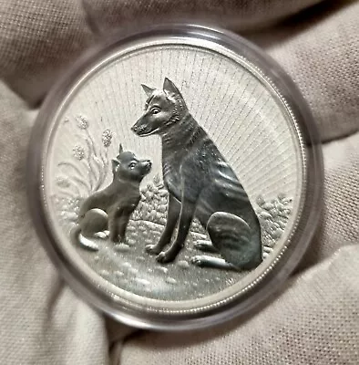 Mother And Baby Dingo 2022 2oz Silver Piedfort Bullion Coin • $140