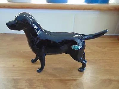 Vintage Beswick Black Labrador Dog - Solomon Of Wendover - Gloss 1548 • $49.80