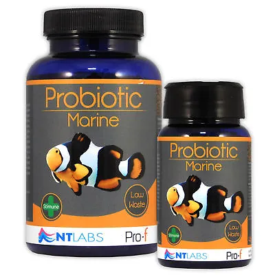 NT Labs Pro-f Probiotic Marine Fish Food 0.8 - 1.5mm Granules Aquarium Tank • £11.49