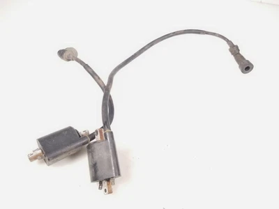 $26.55 • Buy 99-09 Yamaha V Star XVS 1100 Classic Ignition Coil Packs & Plugs Set