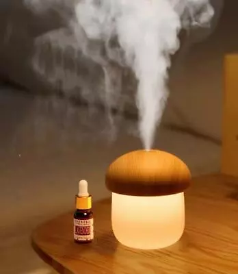 $29.95 • Buy Electric USB Portable Air Diffuser Aroma Oils Air Humidifier Light Relax Defuser