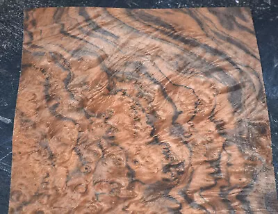 Walnut Burl Raw Wood Veneer Sheet 7 X 19 Inches 1/42nd Thick             7318-23 • $39.99