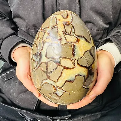 14.08LB Natural Dragon Septarian Geodetic Survey Quartz Crystal Egg Healing6400g • $0.99