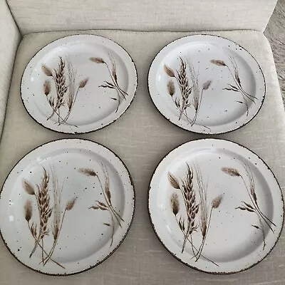 4 Rustic STONEHENGE Midwinter Wild Oats 10.5” Vintage Dinner Plates EUC • $59.99