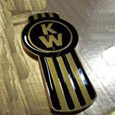 Vintage Kenworth Bug Radiator Grill Hood Ornament Badge Emblem Brass Enamel Blk • $241.66