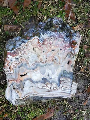 44lb Crazy Lace Agate Laguna Lace Banded Agate Mexico Rough Botryoidal Bullseyes • $9500