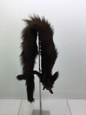 $10.99 • Buy Vintage Dark Brown Genuine Mink Fur Pelt Stole