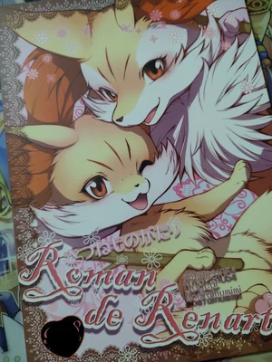 $39.99 • Buy Doujinshi Kemono Pokemon Braixen & Fennekin Dogear (A5 28 Pages) Roman De Renart