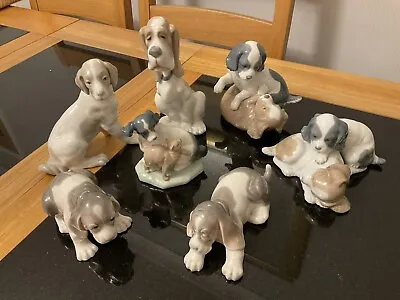 2 X Lladro + 5 X NAO  Dog Figurines Job Lot Collection All Perfect Condition • £115