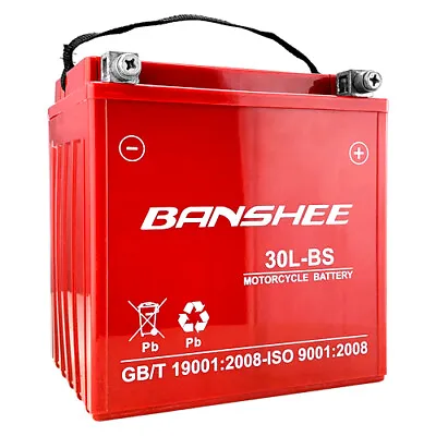 GYZ32HL 53030 YTX30L-BS Motorcycle 12V 30Ah Maintenance Free GEL Battery CCA 500 • $149.85