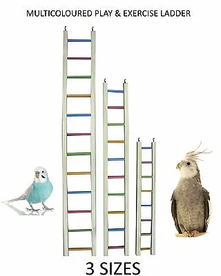 Large Caged Bird Ladder Parrot Cockatoo Conure Macaw Parakeet Cocktiel   • £11.99