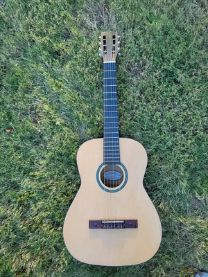 $75 • Buy Silvertone Classic Guitar 