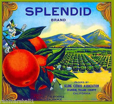 Ivanhoe Tulare County Splendid Vintage Orange Citrus Fruit Crate Label Print • $11.19