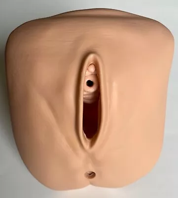 Nasco Life Form GERi / KERi Replacement Female Genitalia Simulator • $55