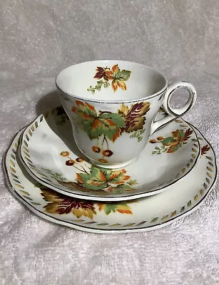 Grindley England Cream Petal Bundarra Trio Tea Cup Saucer & Plate 1940’s • $29.95