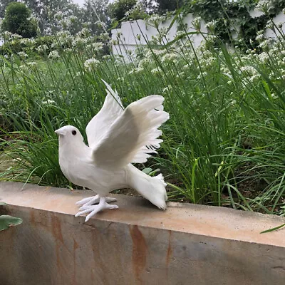 White Real Life Dove Model Plastic&feather Wings Bird Doll About 30x16x22cm • $19.59