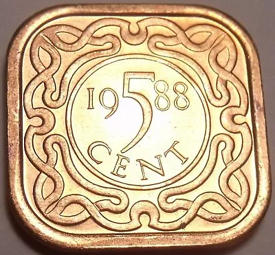Gem Unc Suriname 1988-B 5 Cents~Square Coin~Awesome~Free Shipping • $5.79